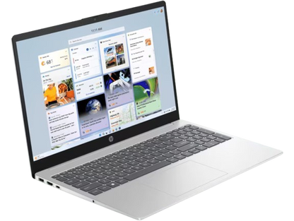 HP Laptop 39.6 cm (15.6) 15-fd0061TU, Silver