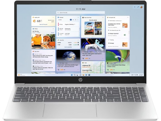 HP Laptop 39.6 cm (15.6) 15-fd0221TU, Silver